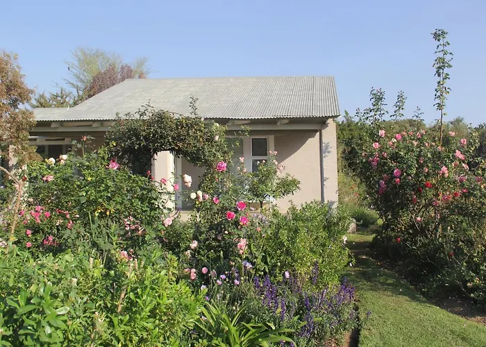 Bella Rosa Farm